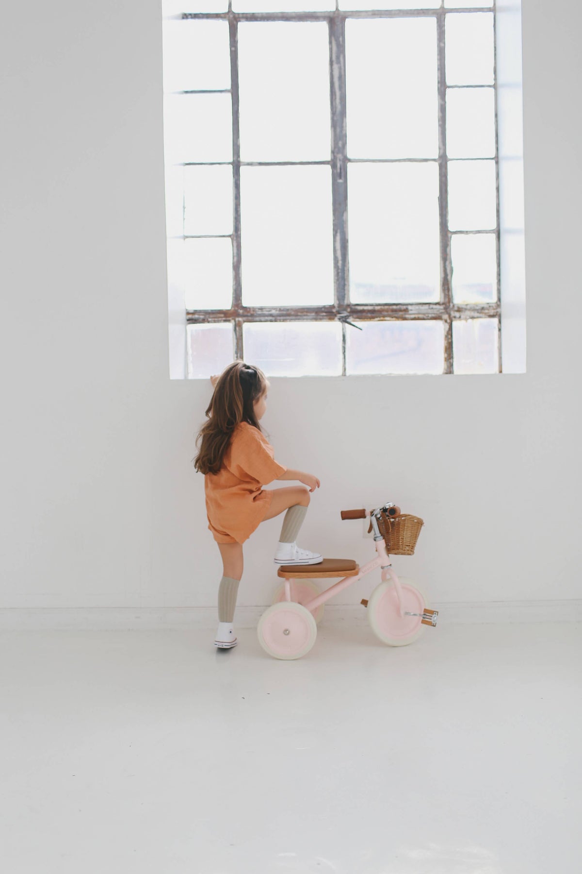 Banwood Tricycle Vintage - Rose