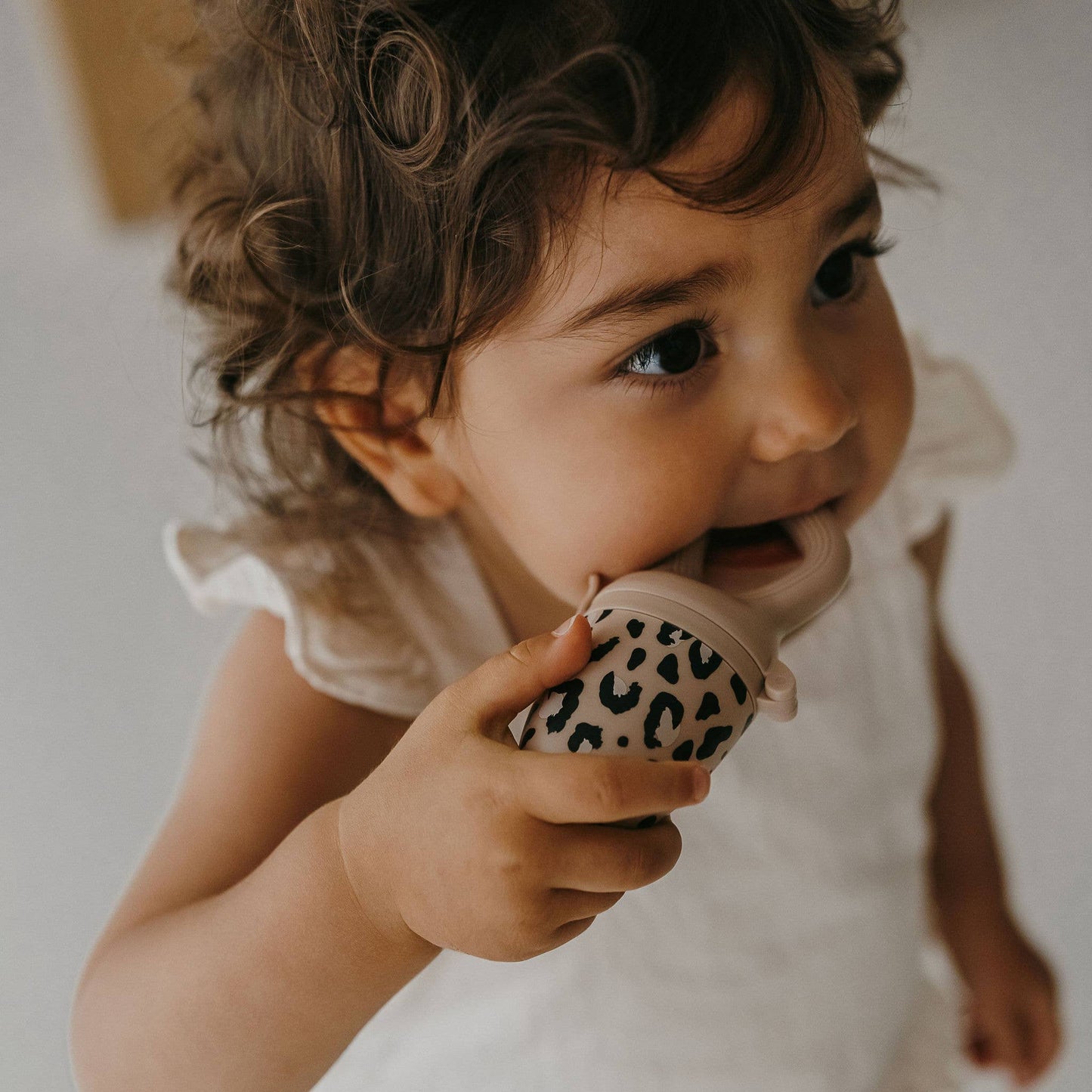 Tétine grignoteuse Birdy