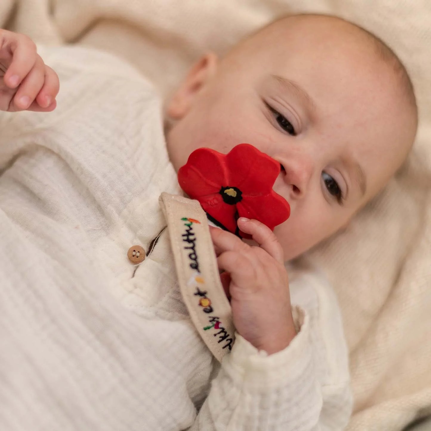 JOUET DE DENTITION POP THE POPPY