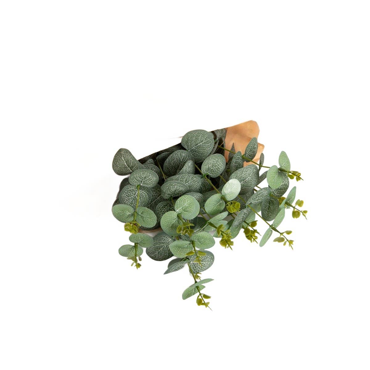 Branche artificielle | EUUKA | eucalyptus vert